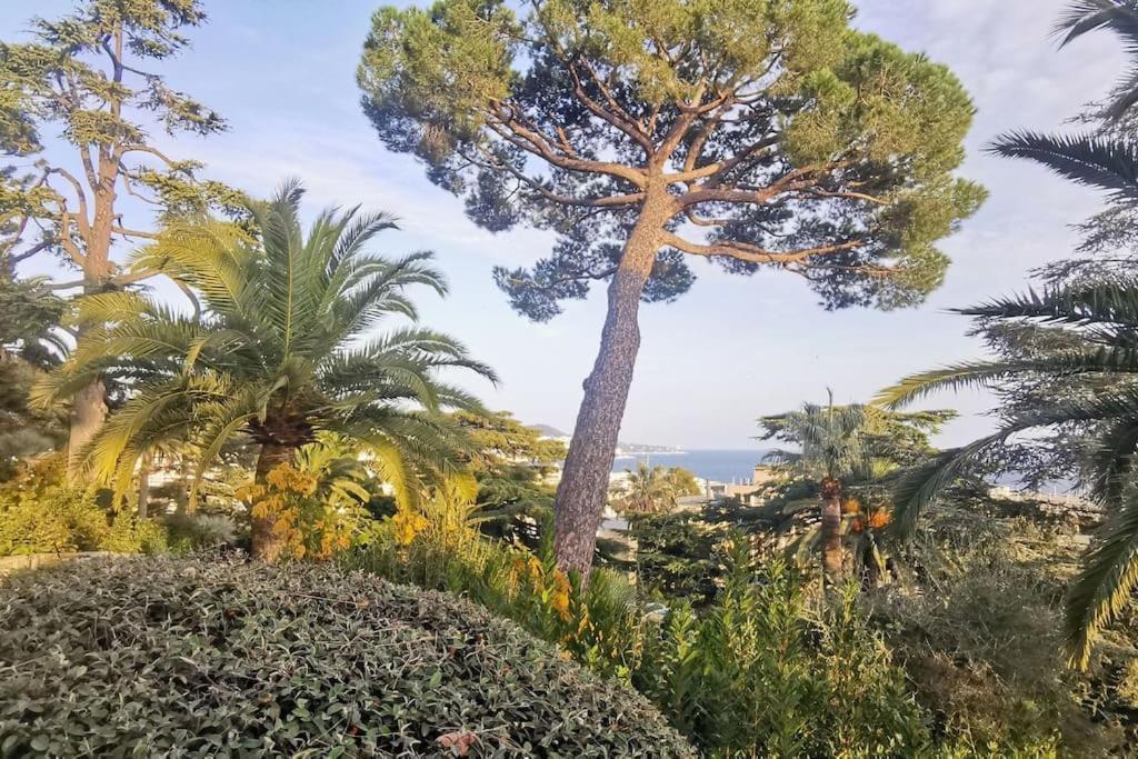 Appartement Nice Centre Vue Mer Avec Piscine Pour Famille, Couple D'Amis Pas De Groupes De Jeunes Autorises エクステリア 写真
